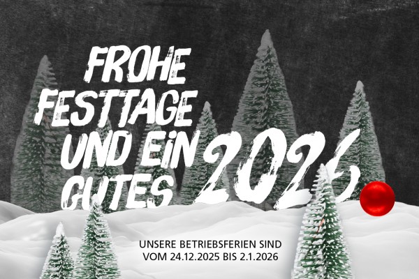 251211_LMP_Weihn_600x400_NL-Banner_PROD